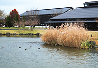 ×:池には入らないでください